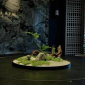 酒店大圆桌中间转盘摆件永生苔藓山石桌花微景观造景