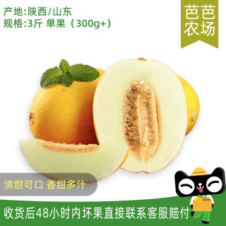 【芭芭农场】黄河蜜瓜3斤装 单果300g+ 多仓发货（6-2Y）