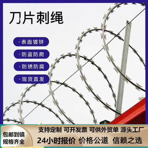 刀片刺绳不锈钢刺丝滚笼镀锌防爬刺网铁蒺藜防盗网围墙带刺铁丝网