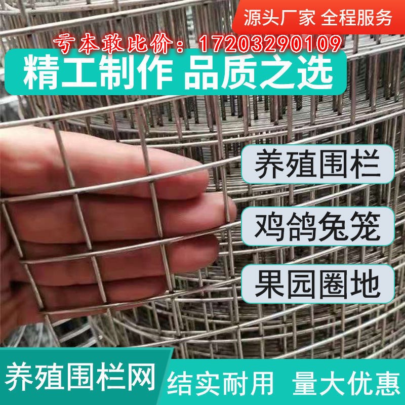 热镀锌钢丝网防锈铁丝网围栏养殖鸡鸽防鼠鸟笼兔笼蛇圈地网格隔离