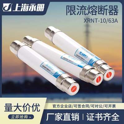 高分断能力高压熔断器SDLAJXRNT1-10/12KV6.3A-40A陶瓷保险管35KV