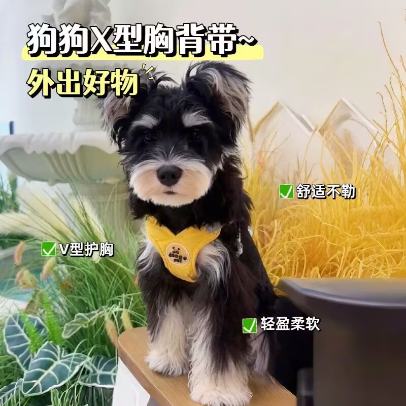 X型护胸舒适胸背带狗狗牵引绳轻盈柔软不勒脖小型犬遛狗绳子
