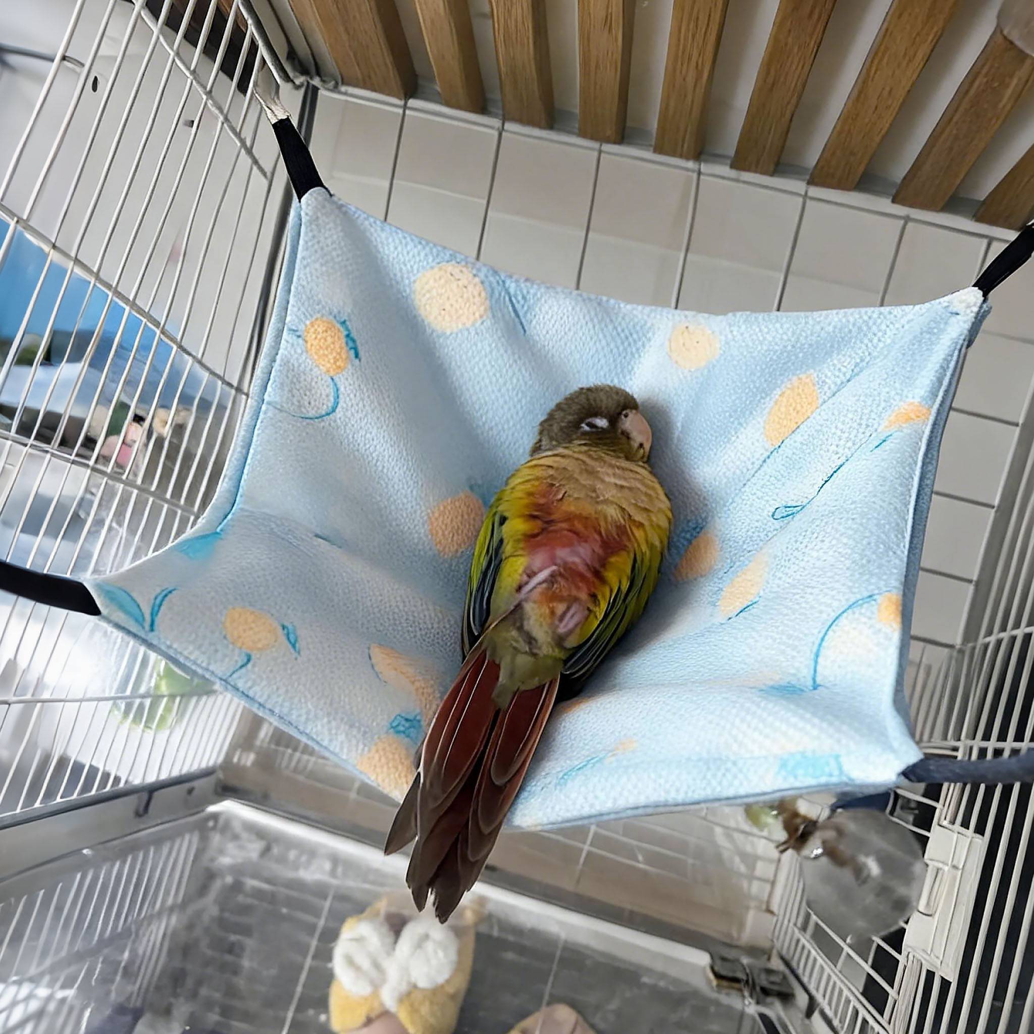 夏季鸟窝鹦鹉睡窝冰丝迷你吊床牡丹虎皮小太阳双面可用悬挂吊窝