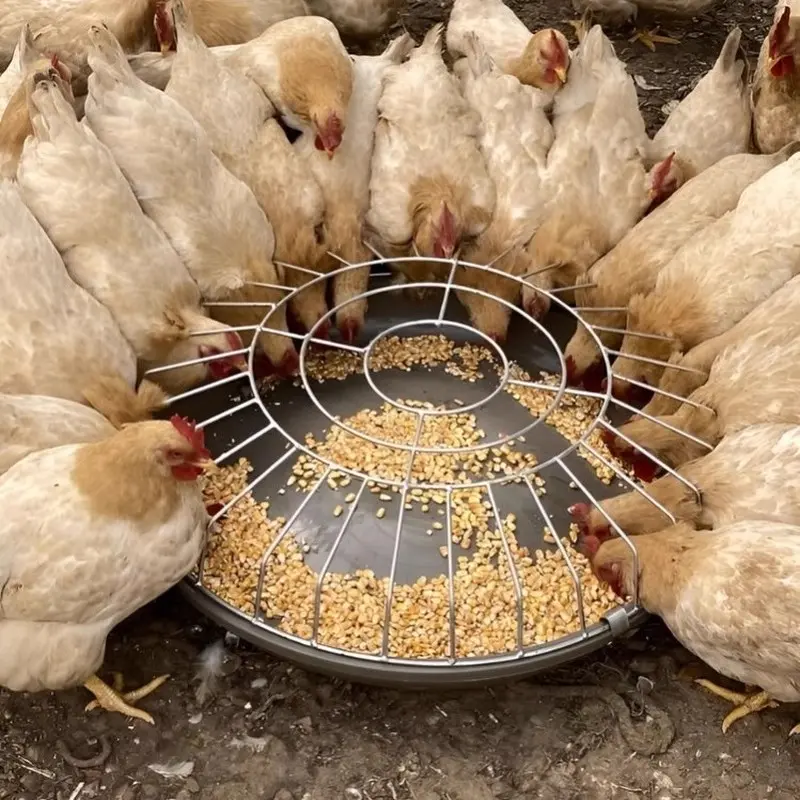 新款耐摔耐用牛筋盆家禽家畜鸡鸭鹅料槽猪狗羊用食槽饲料盆打不翻