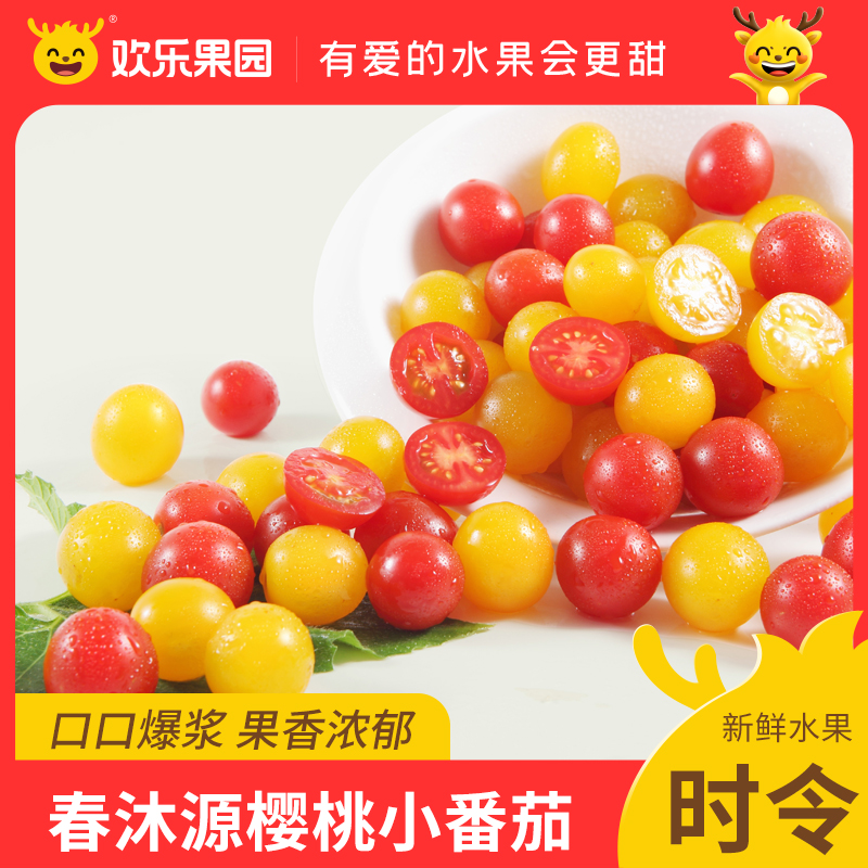 春沐源樱桃小番茄云南产地直发
