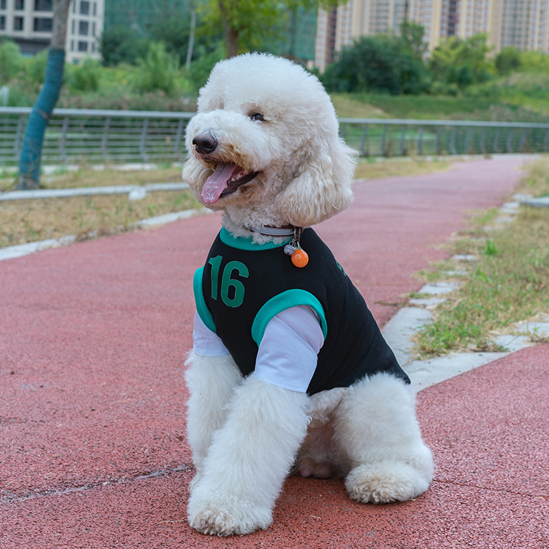 假两件大型犬狗狗衣服秋冬保暖