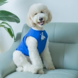 Симпатичная собачья одежда Большой собачья бренд летний тонкий лабрадор золотые волосы