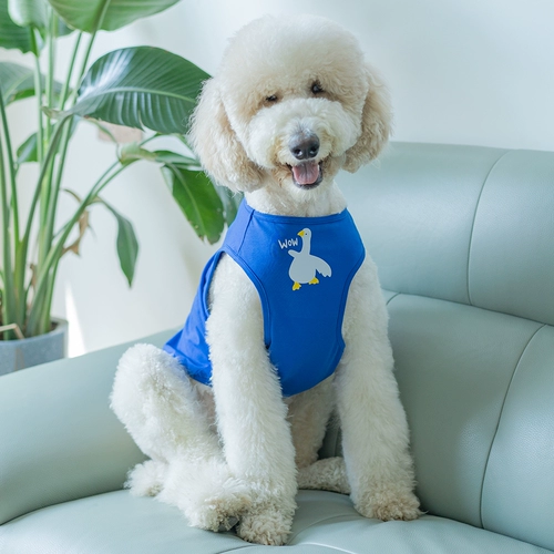 Симпатичная собачья одежда Большой собачья бренд летний тонкий лабрадор золотые волосы