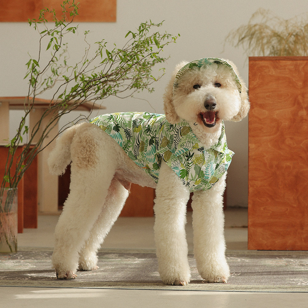 夏威夷风狗狗衣服宠物中大型犬衬衫春夏薄款拉布拉多金毛巨贵衣服
