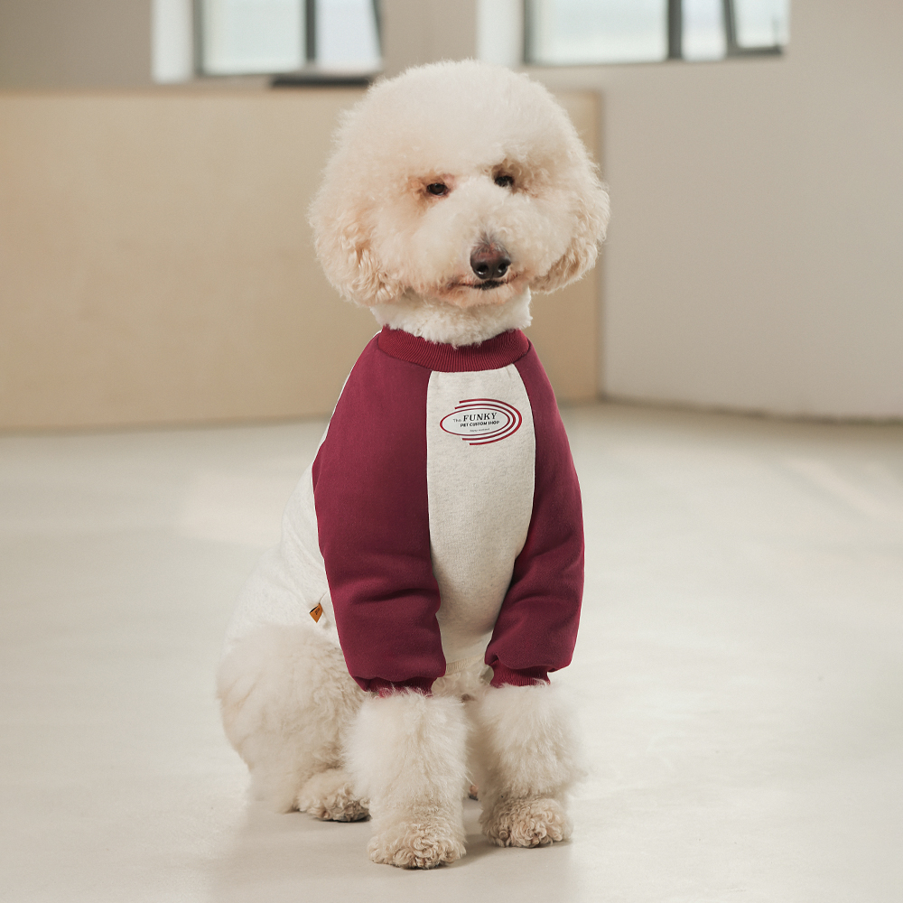 潮牌中大型犬衣服狗狗卫衣秋冬装