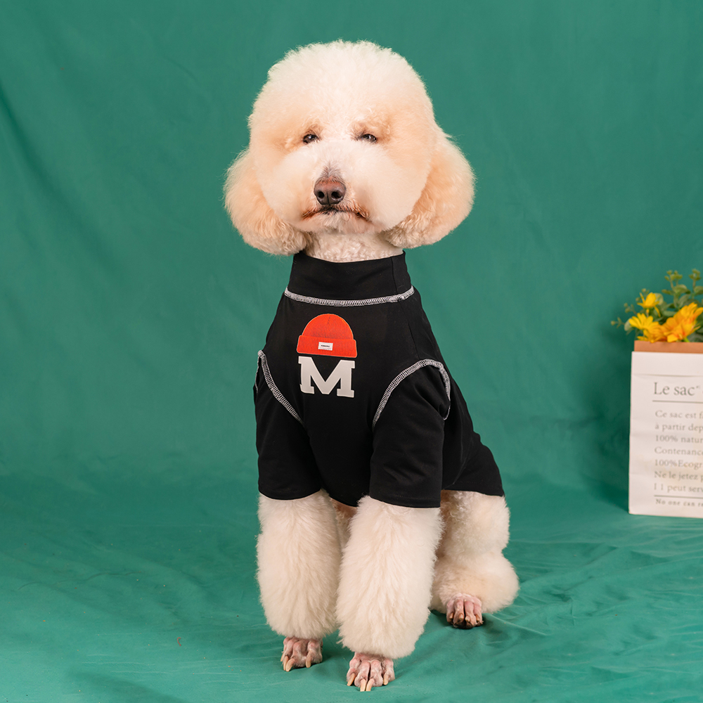 潮牌大狗T恤狗狗衣服春夏薄款