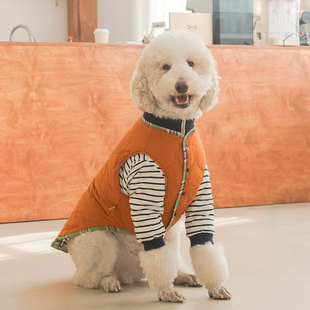 狗狗马甲外套大型犬衣服秋冬保暖拉布拉多金毛萨摩耶巨贵宠物衣服