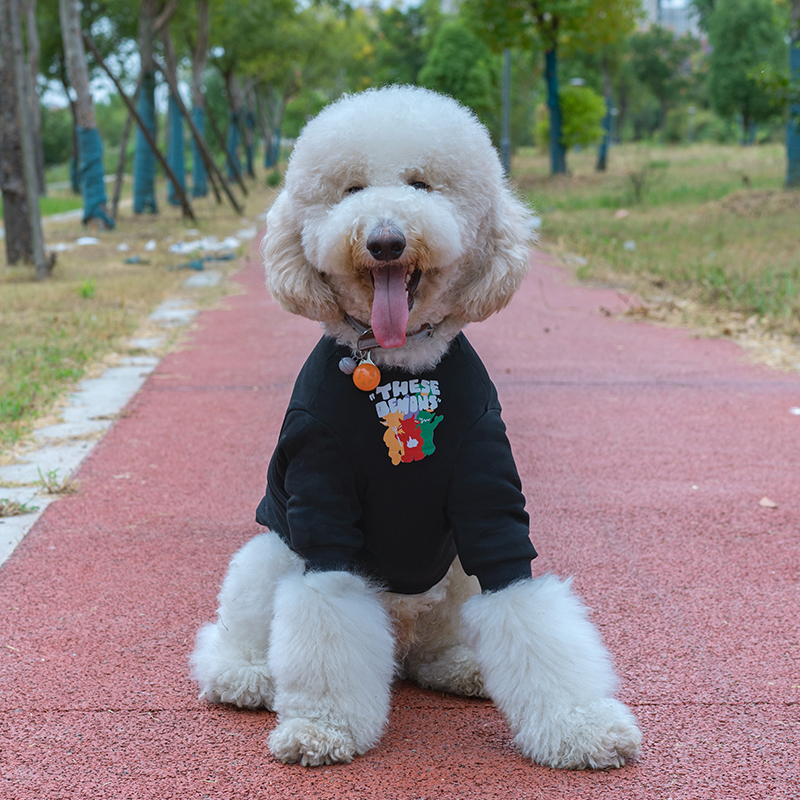 卡通大型犬衣服秋冬潮牌