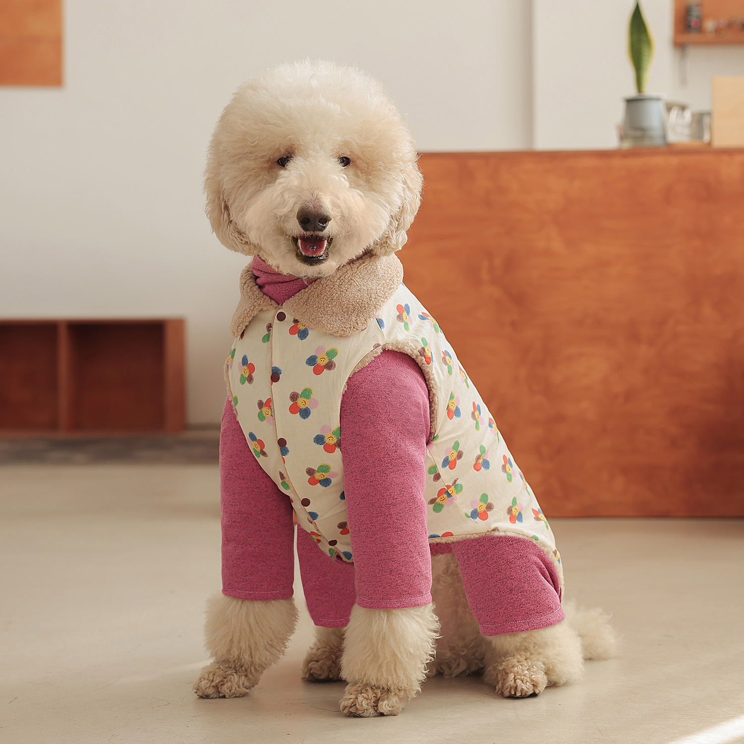 ins可爱中大型犬狗狗衣服冬季