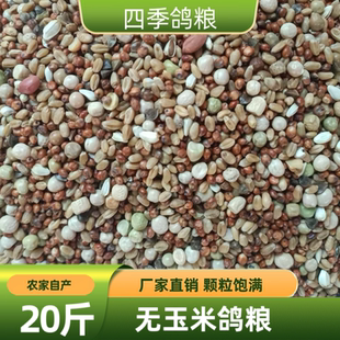 20斤新无玉米鸽子粮食营养饲料鸟食信鸽观赏鸽肉鸽幼鸽成鸽粮食