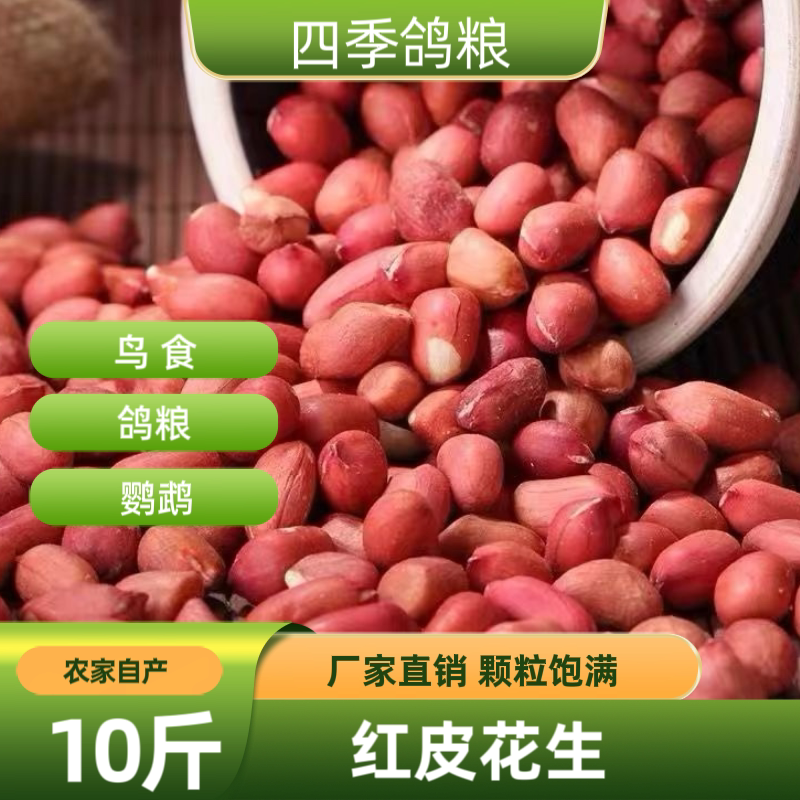 10斤新鲜晒干生花生米红皮花生仁喂鸽子专用