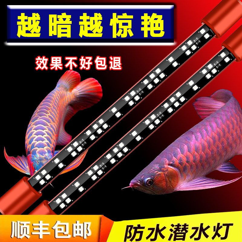 马印神灯增艳灯红龙鱼专用鹦鹉灯照明器材
