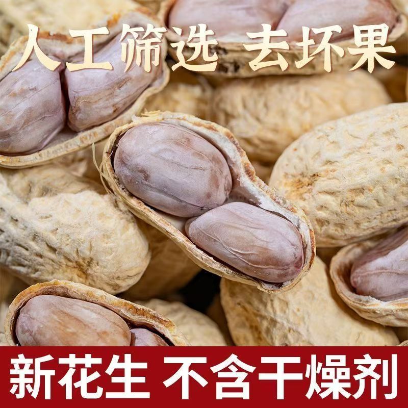 福建龙岩5斤装水煮白晒咸干蒜香花生湿烤天然原多味农家特产带壳