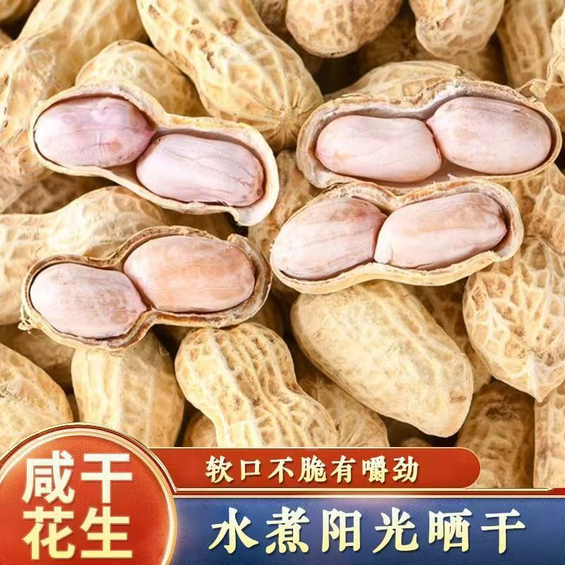水煮晒干花生】25新货龙岩咸干白晒农家花生蒜香五香带壳盐水500g