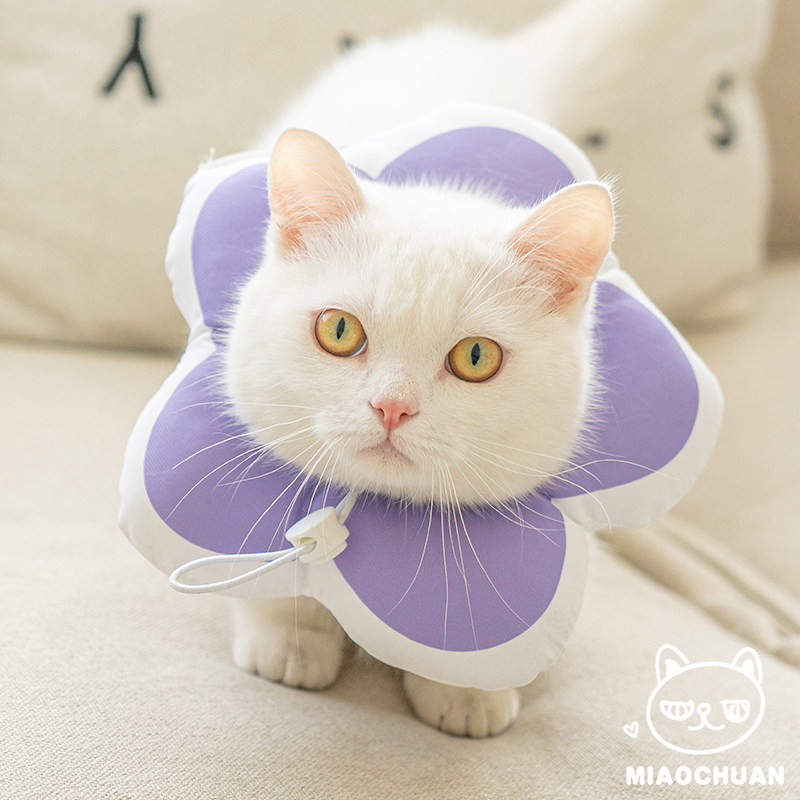 『喵川铺子』花朵伊丽莎白圈猫咪术后用头套绝育软圈可吃饭防舔舐