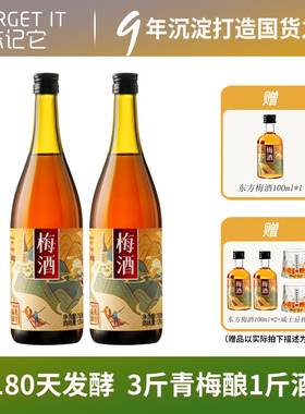 【忘记它FORGET IT】东方青梅酒见梅子酒果酒适合女生喝的微醺酒