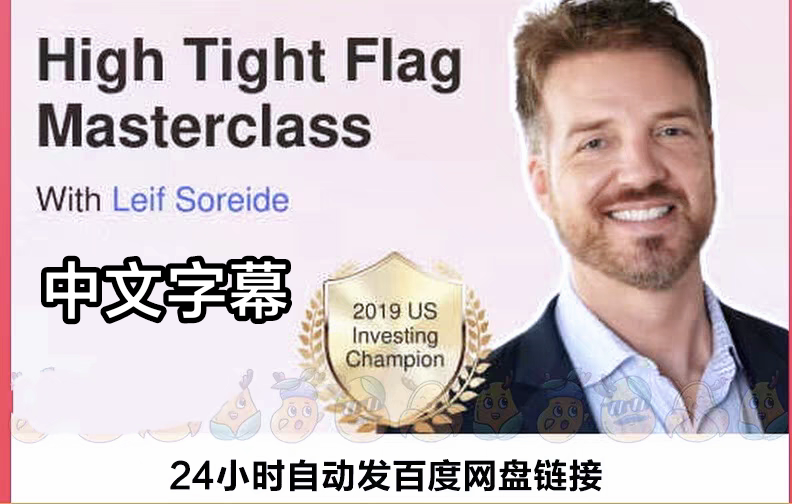 Traderlion Leif Soreide High Tight Flag视频课程 +2024 Model