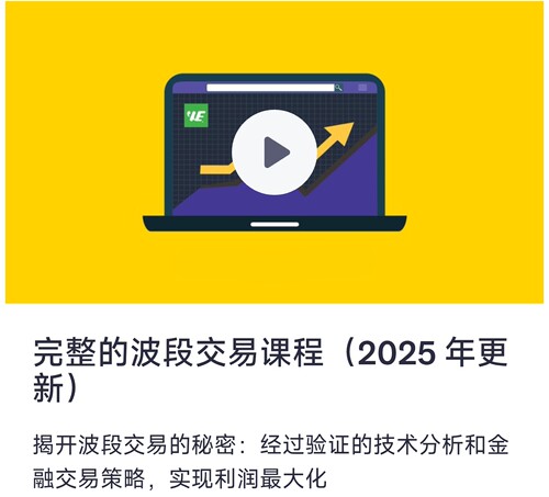 完整波段交易策略课系统程视频股票教程The Complete Swing  2025