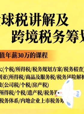 海外税制讲解跨境税务筹划美国新加坡香港税制全球税制讲解及跨境