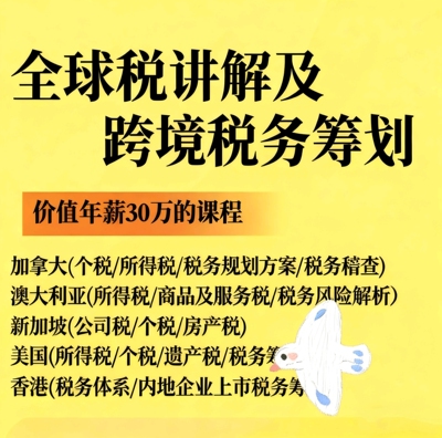 海外税制讲解跨境税务筹划美国新加坡香港税制全球税制讲解及跨境