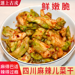 四川麻辣儿菜干咸菜下饭菜新鲜腌制菱角菜榨菜丝青菜头宜宾大头菜