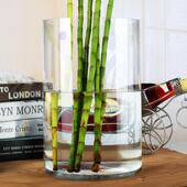 特大号透明落地玻璃花瓶百合富贵竹花瓶高款 水培客厅直筒插花摆件