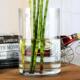 特大号透明落地玻璃花瓶百合富贵竹花瓶高款 水培客厅直筒插花摆件