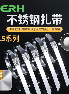 304不锈钢扎带船舶卡扣自锁式电线金属室外抗氧化金属束线拉紧器
