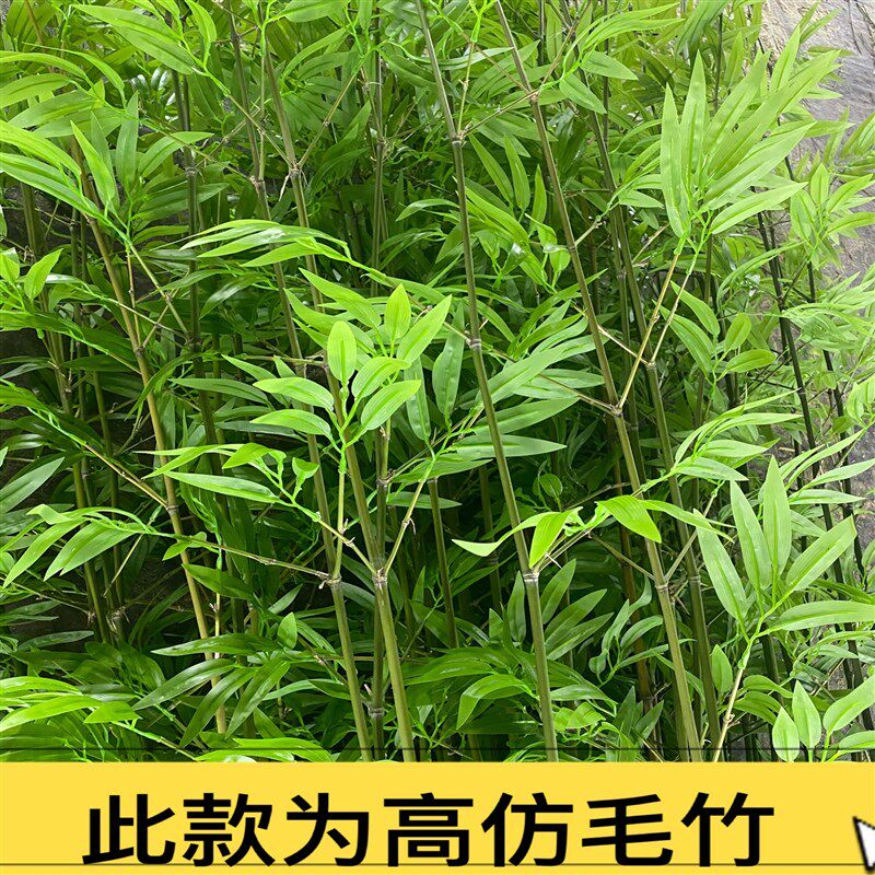 仿真竹子室内装饰屏n风隔断人造塑料假竹子酒店商场室外造景植物
