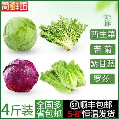 顺丰4斤装新鲜沙拉紫甘蓝罗莎绿