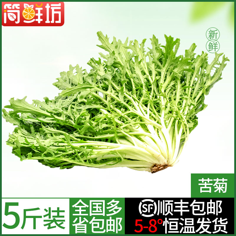 【简鲜坊】苦菊 新鲜狗牙蔬菜苦苣苦叶生菜沙拉食材 1/3/5斤包邮 水产肉类/新鲜蔬果/熟食 其它 原图主图