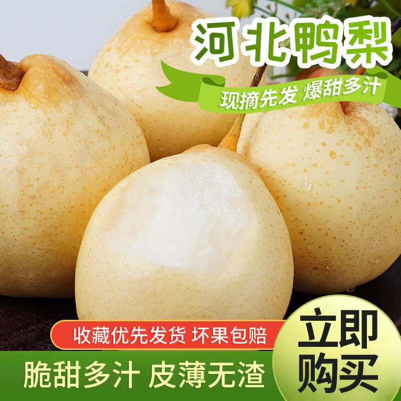 赵县特产鸭梨水晶梨水果5斤整箱水晶鸭梨河北梨子新鲜9斤鸭梨大果怎么看?