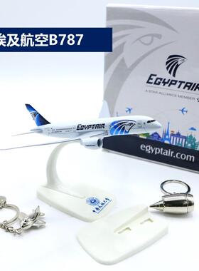 飞机模型航模埃及航空B787摆件易拆装卸起落架中国民航大学底座
