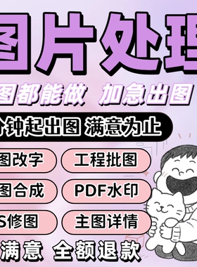 专业P图PS修图无痕批图改数字PDF去水印照片抠图片处理淘宝证件照