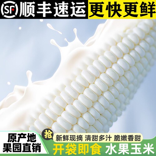 现摘可生吃！爆汁牛奶水果玉米！