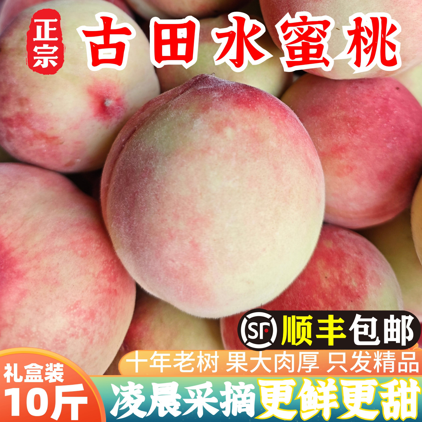 正宗古田白凤水蜜桃脆甜大桃子当季新鲜现摘水果礼盒装【精品】