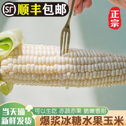 新鲜现摘！可生吃的爆浆水果玉米