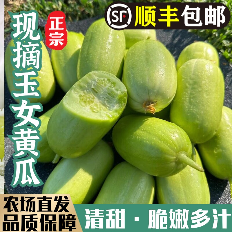 玉女黄瓜水果黄瓜新鲜生吃白玉黄瓜拇指黄瓜无刺青瓜控糖孕妇蔬果