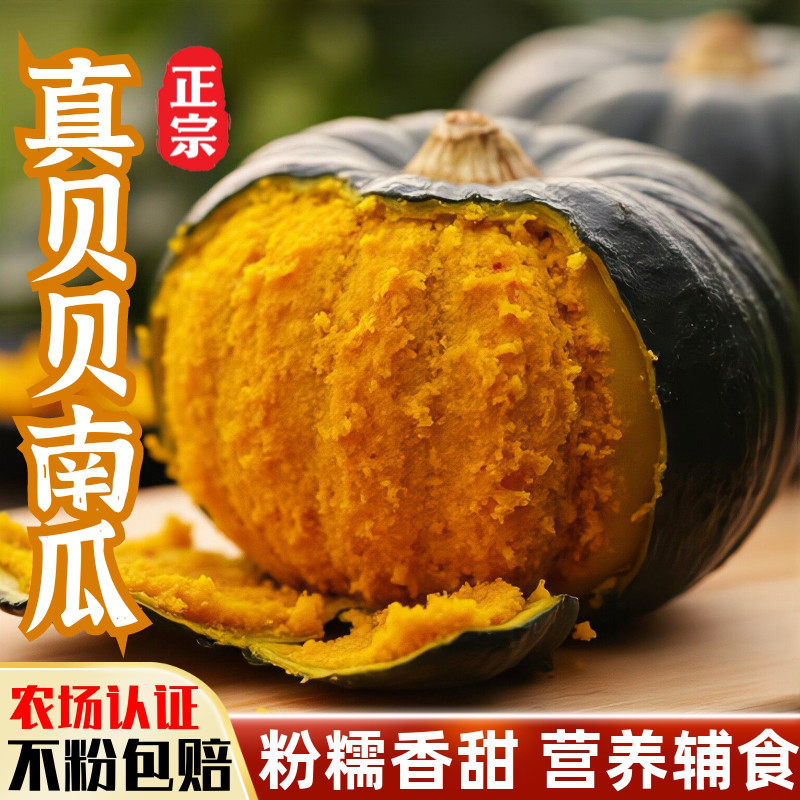 正宗贝贝南瓜板栗小南瓜惠和一号老南瓜宝宝辅食孕妇代餐粉糯香甜