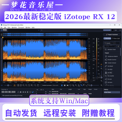 iZotope RX 12降噪人声伴奏中文版RX10去口水音效果器插件Win/Mac