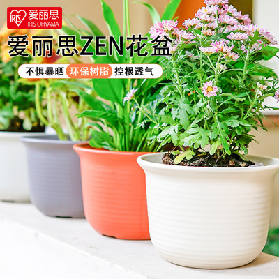 爱丽丝中型花盆家用控根加厚