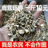 大碎无粉末鹿茸菌碎片500g 鹿茸菇新鲜蘑香菇类干货水饺调馅料 包邮