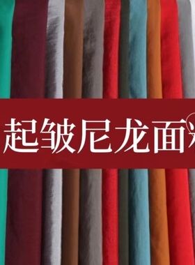 羽绒服布料新款防水防钻绒起皱
