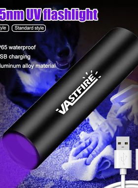 3W Mini 365nm UV Flashlight Ultraviolet Blacklight USB Recha