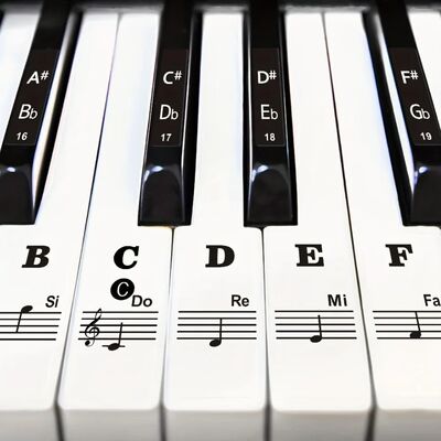 Large Bold Piano Key Sticker for Beginners - Removable lette